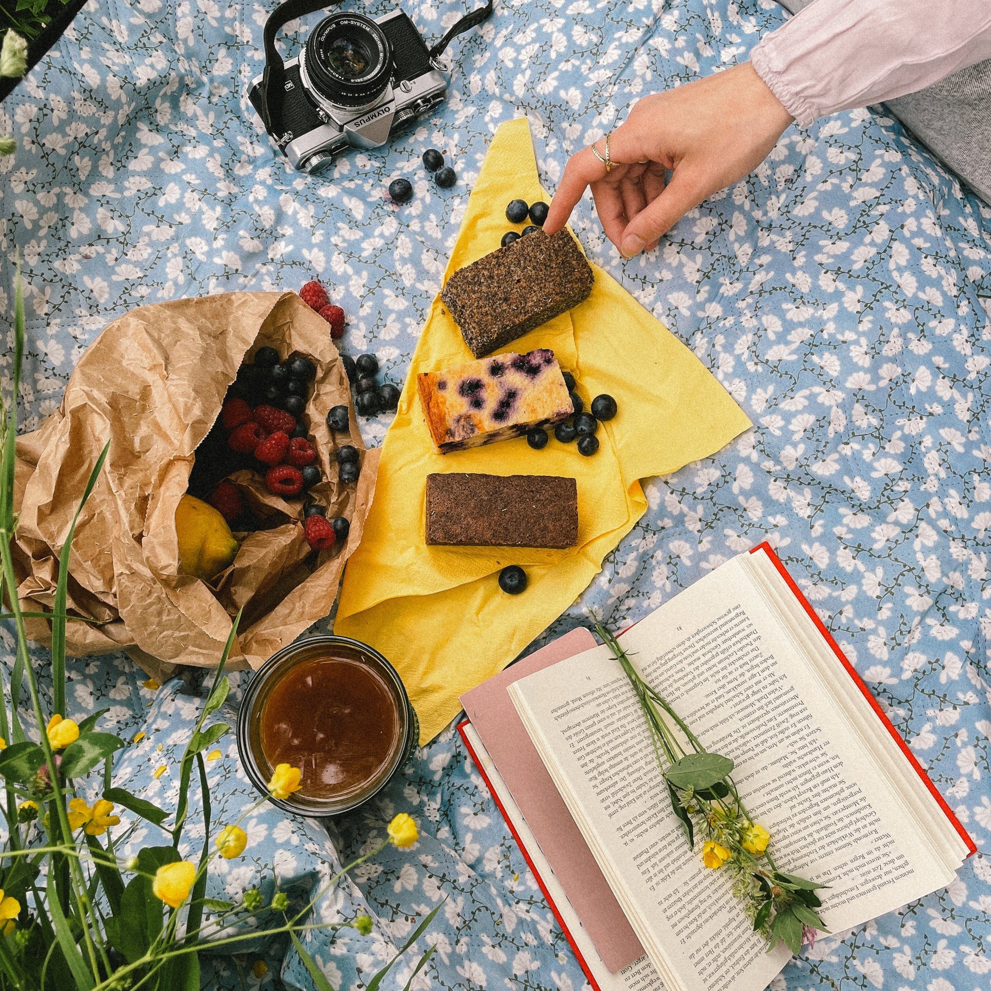 Picknick mit PureCakes, Kaffee, Buch und Kamera